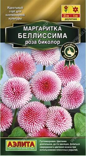 Маргаритка Беллиссима роза биколор семена